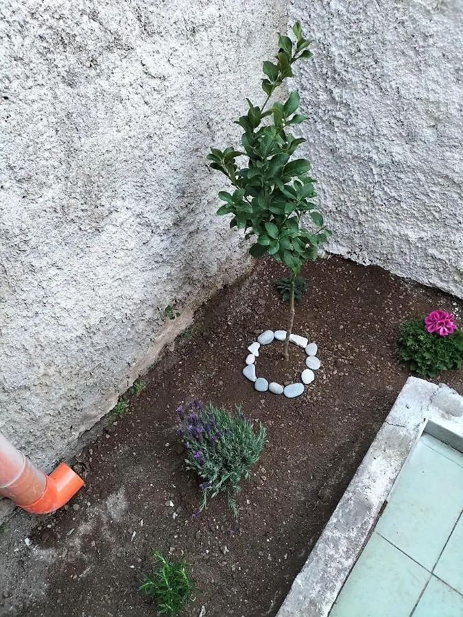 Villa La Loggia 34 à Palerme Hébergement de vacances